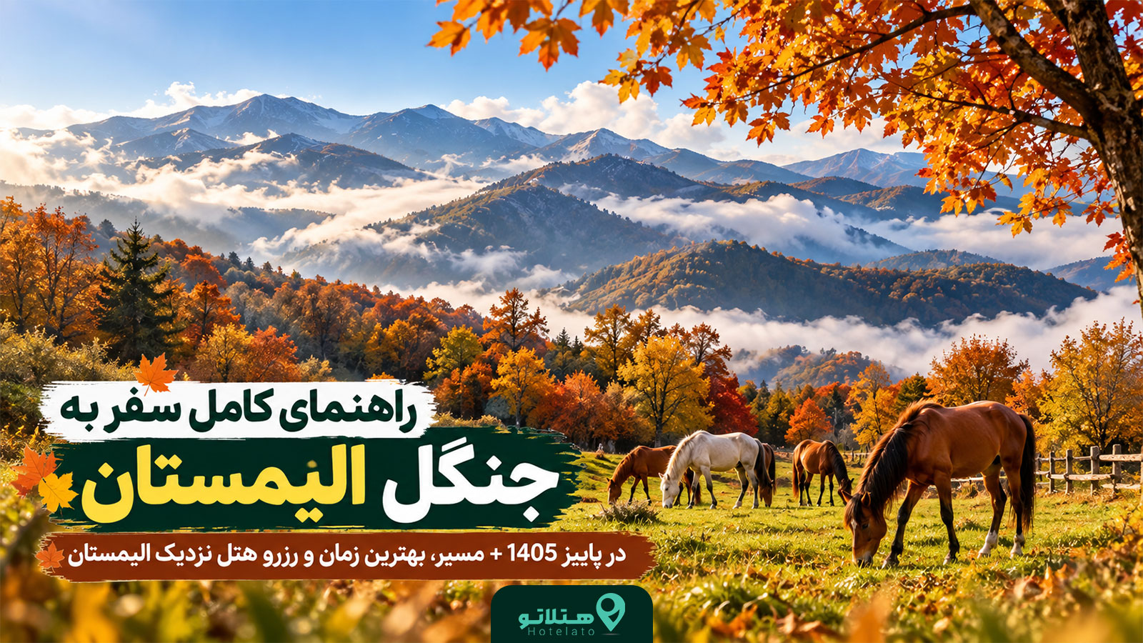 راهنمای کامل سفر به جنگل الیمستان در پاییز 1405+ مسیر، بهترین زمان و رزرو هتل نزدیک الیمستان